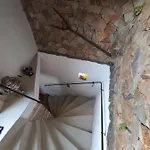 V Zajecskej Vezi *