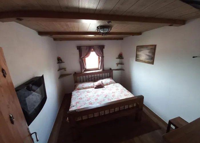 V Zajecskej Vezi Zaječí