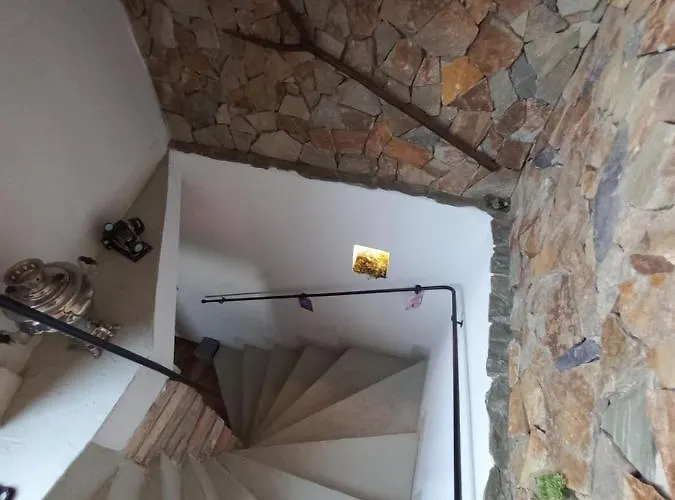 V Zajecskej Vezi *
